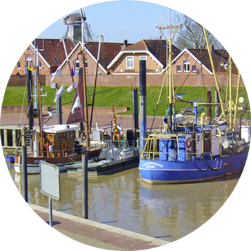 Buchen Sie Last-Minute und genießen Sie den Charme unseres Ferienhauses in Ditzum. Last Minute Urlaub im Ferienhaus Ditzum