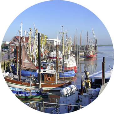 Das Nordsee-Klima in Ditzum verwöhnt ihre Atemwege. Gesundheit für die Atemwege bietet das Nordsee-Klima in Ditzum